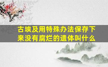 古埃及用特殊办法保存下来没有腐烂的遗体叫什么