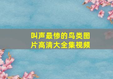 叫声最惨的鸟类图片高清大全集视频