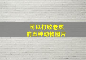 可以打败老虎的五种动物图片