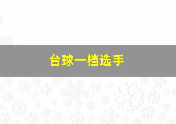 台球一档选手