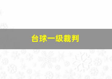 台球一级裁判