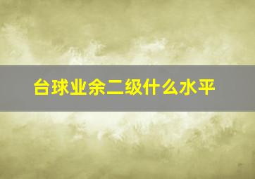 台球业余二级什么水平