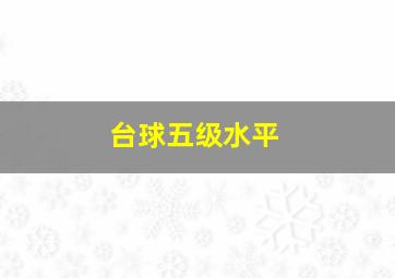 台球五级水平