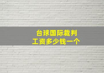 台球国际裁判工资多少钱一个