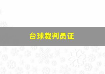 台球裁判员证