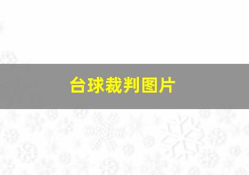 台球裁判图片