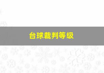 台球裁判等级