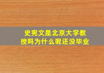 史宪文是北京大学教授吗为什么呢还没毕业