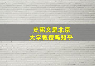 史宪文是北京大学教授吗知乎