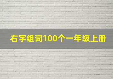 右字组词100个一年级上册