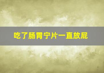 吃了肠胃宁片一直放屁