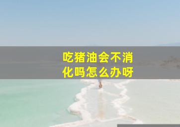 吃猪油会不消化吗怎么办呀