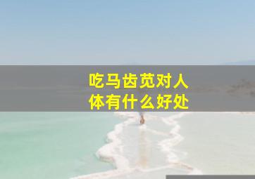 吃马齿苋对人体有什么好处