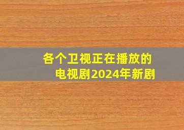 各个卫视正在播放的电视剧2024年新剧