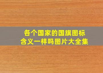 各个国家的国旗图标含义一样吗图片大全集