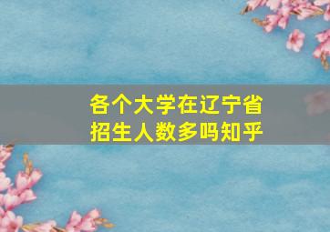 各个大学在辽宁省招生人数多吗知乎