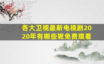 各大卫视最新电视剧2020年有哪些呢免费观看