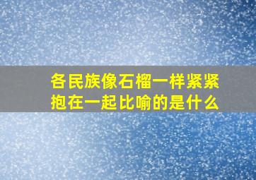 各民族像石榴一样紧紧抱在一起比喻的是什么