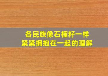 各民族像石榴籽一样紧紧拥抱在一起的理解