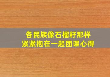 各民族像石榴籽那样紧紧抱在一起团课心得