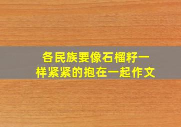 各民族要像石榴籽一样紧紧的抱在一起作文