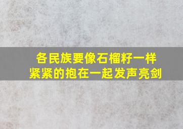 各民族要像石榴籽一样紧紧的抱在一起发声亮剑