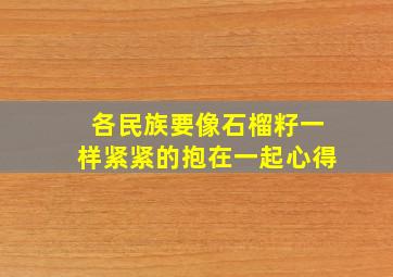 各民族要像石榴籽一样紧紧的抱在一起心得