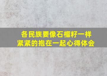 各民族要像石榴籽一样紧紧的抱在一起心得体会