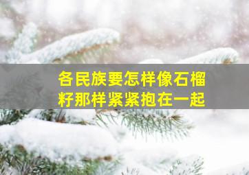 各民族要怎样像石榴籽那样紧紧抱在一起