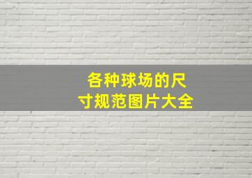 各种球场的尺寸规范图片大全