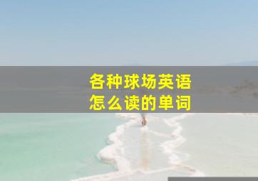 各种球场英语怎么读的单词