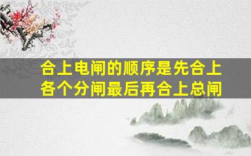 合上电闸的顺序是先合上各个分闸最后再合上总闸