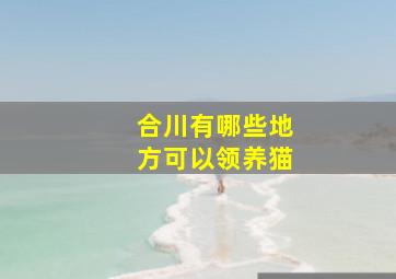 合川有哪些地方可以领养猫