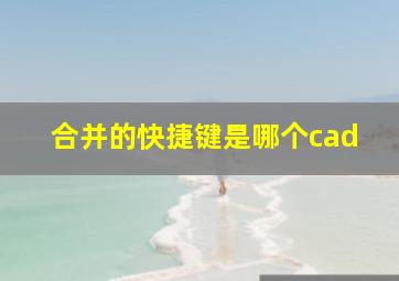 合并的快捷键是哪个cad