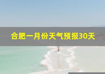 合肥一月份天气预报30天