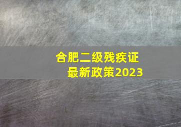 合肥二级残疾证最新政策2023