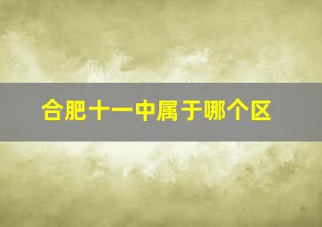 合肥十一中属于哪个区