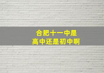 合肥十一中是高中还是初中啊