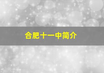 合肥十一中简介