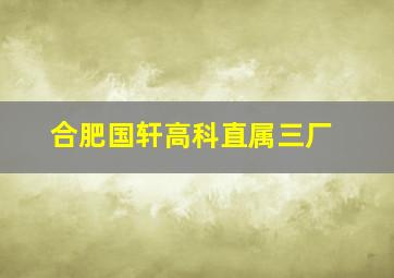 合肥国轩高科直属三厂