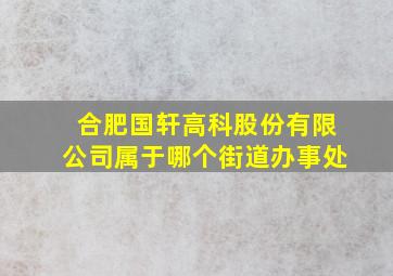 合肥国轩高科股份有限公司属于哪个街道办事处