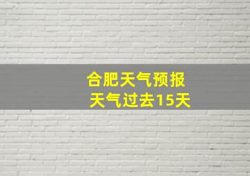 合肥天气预报天气过去15天