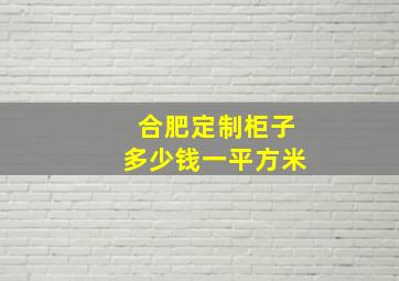 合肥定制柜子多少钱一平方米