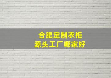 合肥定制衣柜源头工厂哪家好