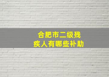 合肥市二级残疾人有哪些补助