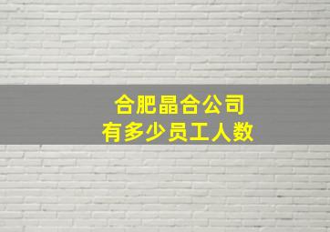 合肥晶合公司有多少员工人数