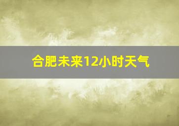 合肥未来12小时天气