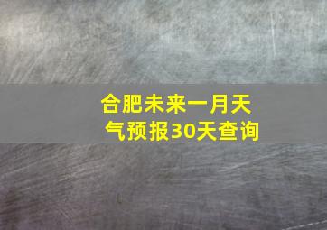 合肥未来一月天气预报30天查询