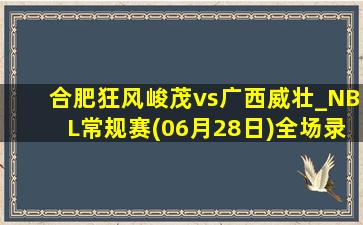 合肥狂风峻茂vs广西威壮_NBL常规赛(06月28日)全场录像