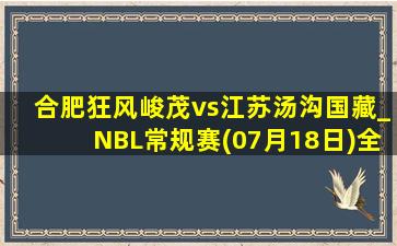 合肥狂风峻茂vs江苏汤沟国藏_NBL常规赛(07月18日)全场录像